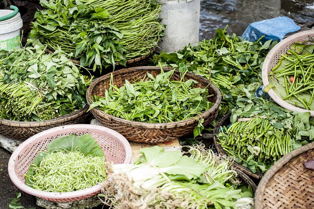 agriculture, close-up, flora-1853357.jpg