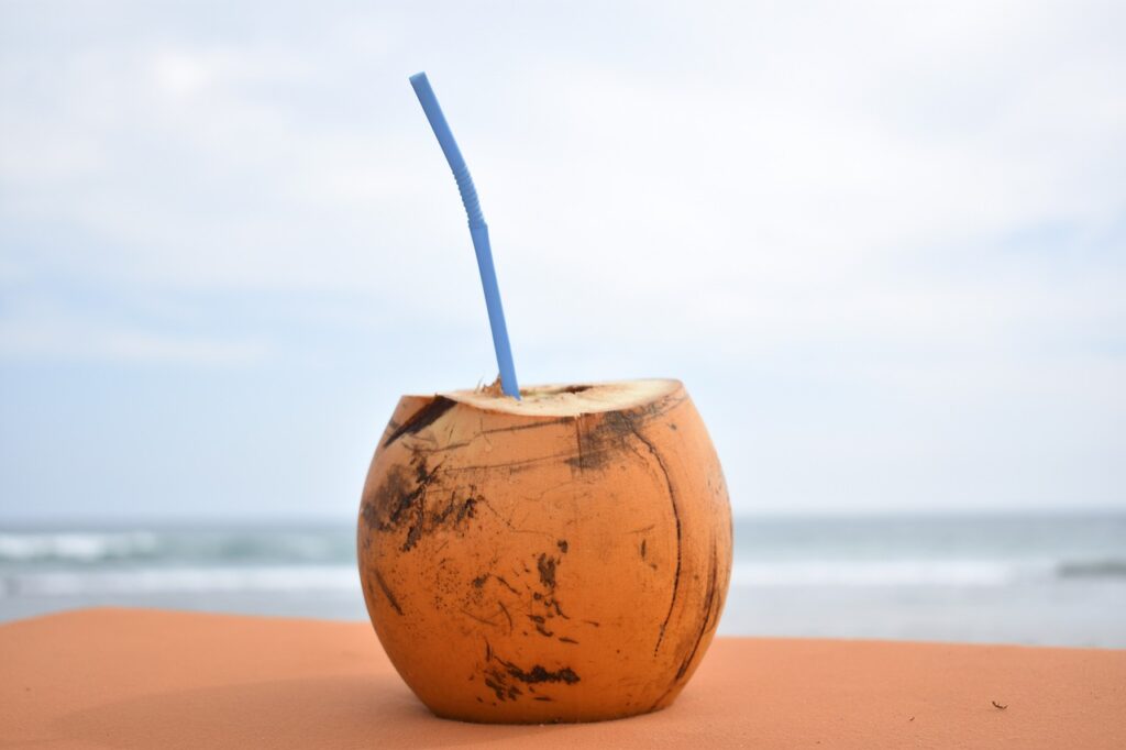 coconut, sea, beach-4221288.jpg