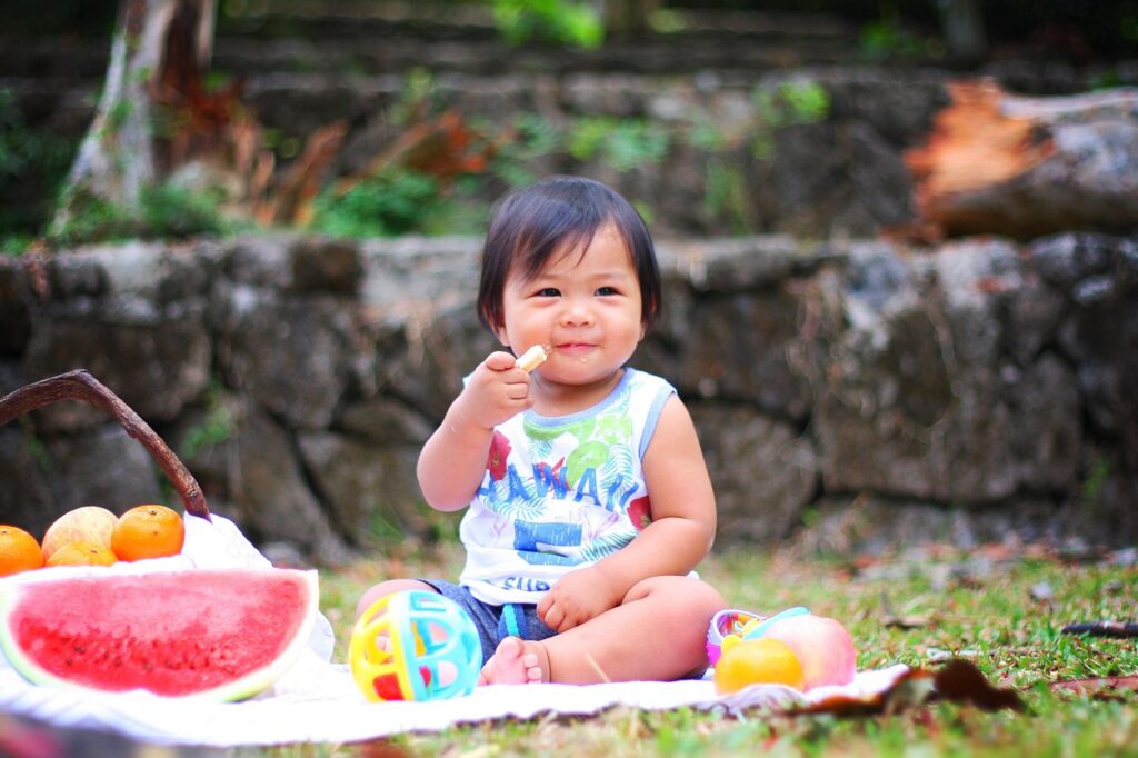 picnic, baby, eating, cute, child, food, toddler, nature, happy, little, kid, childhood, healthy, caucasian, infant, eat, boy, portrait, adorable, young, sweet, cheerful, happiness, funny, nutrition, breakfast, summer, sitting, grass, family, fruits